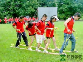 图片19_副本_副本.png 图片19_副本_副本.png