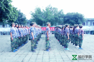 图片1 - 副本.png