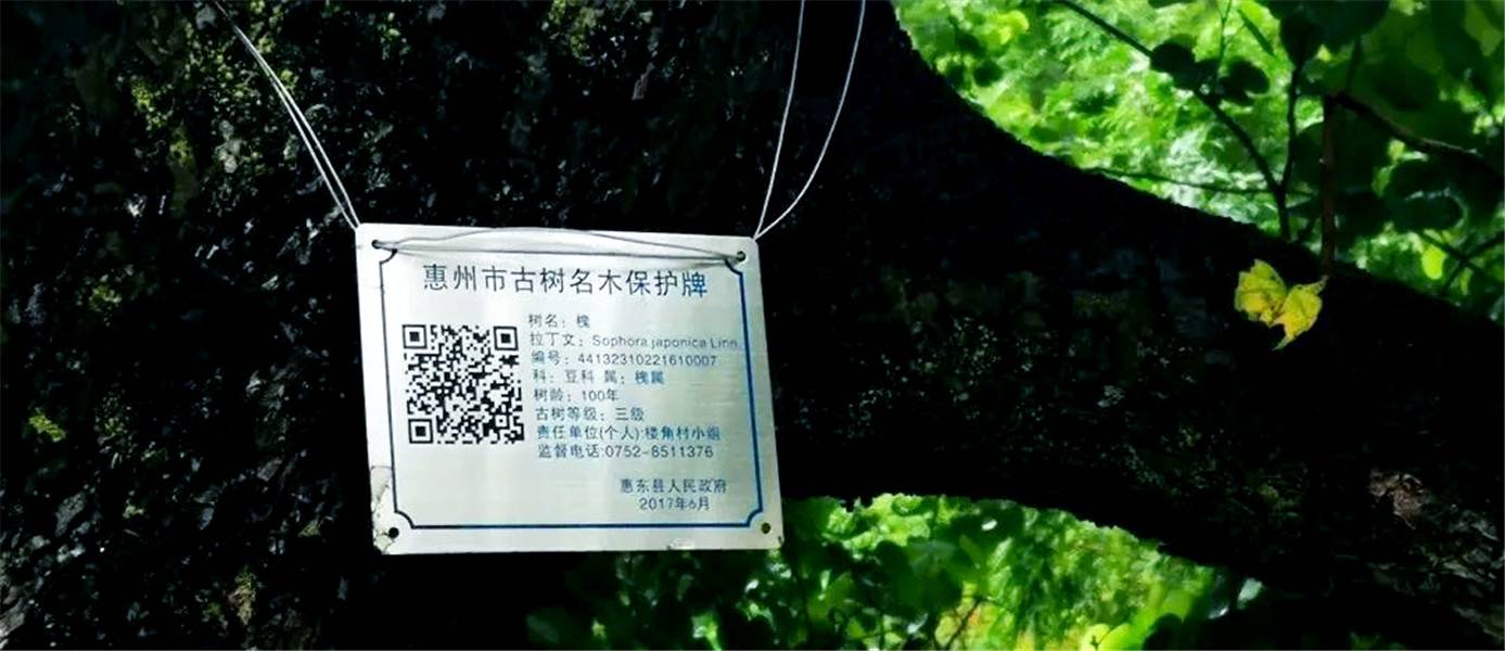 惠东白花苏茅垅四角楼 3.jpg 惠东白花苏茅垅四角楼 3.jpg