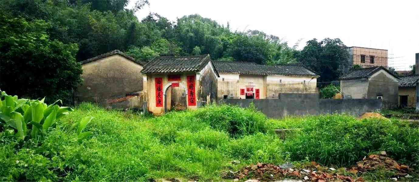 惠东白花苏茅垅四角楼 10.jpg 惠东白花苏茅垅四角楼 10.jpg