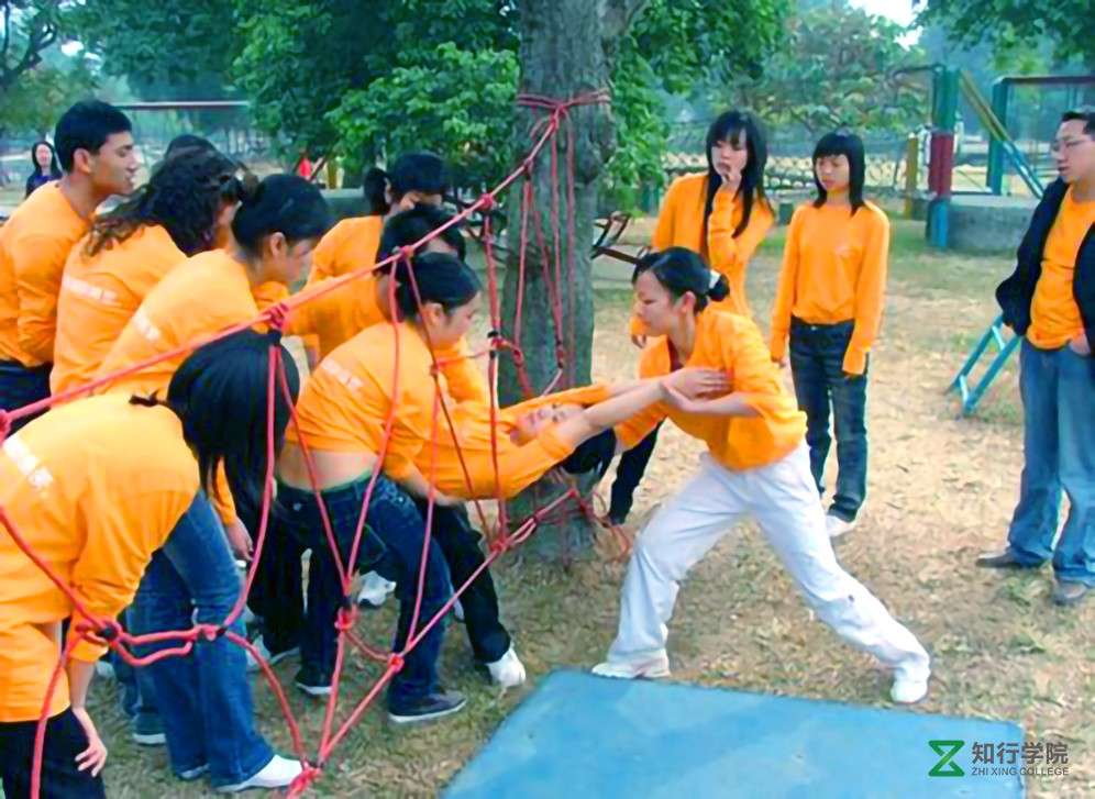 穿越电网1.jpg 穿越电网1.jpg