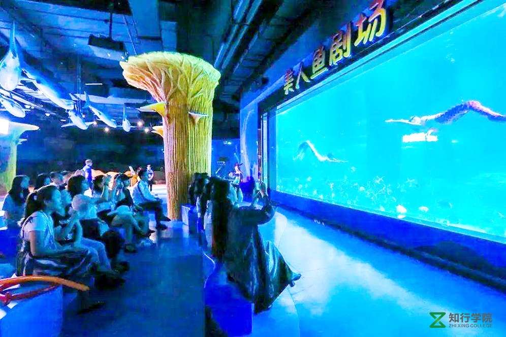 惠州拓展、惠州拓展训练、惠州拓展培训、惠州团建.jpg 惠州拓展、惠州拓展训练、惠州拓展培训、惠州团建.jpg