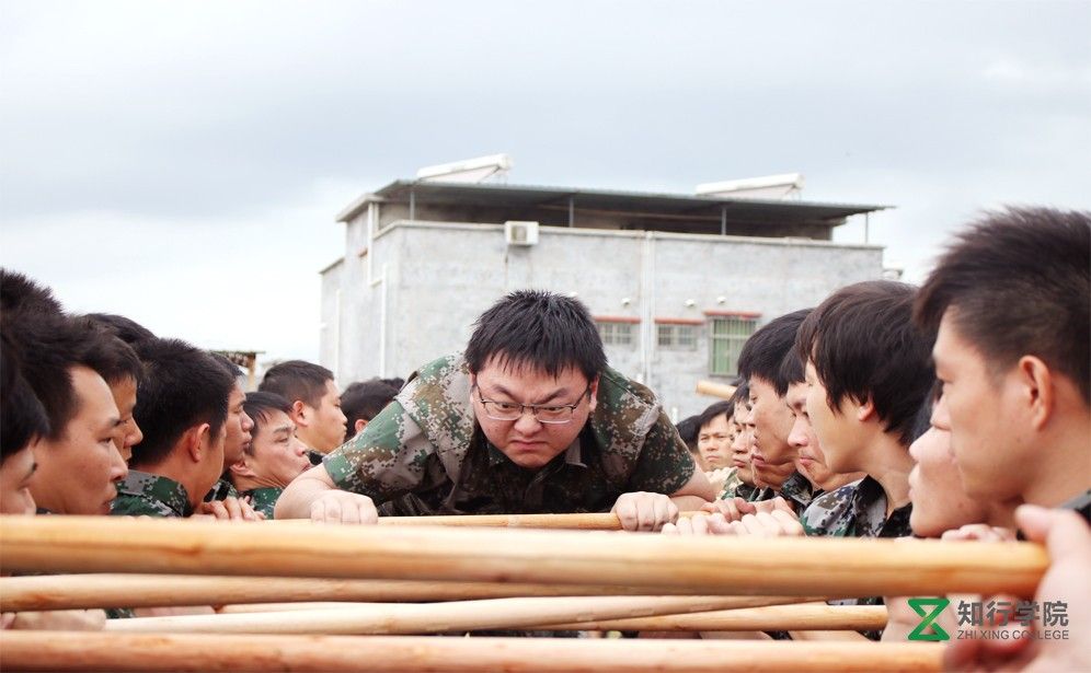 生命云梯1.jpg