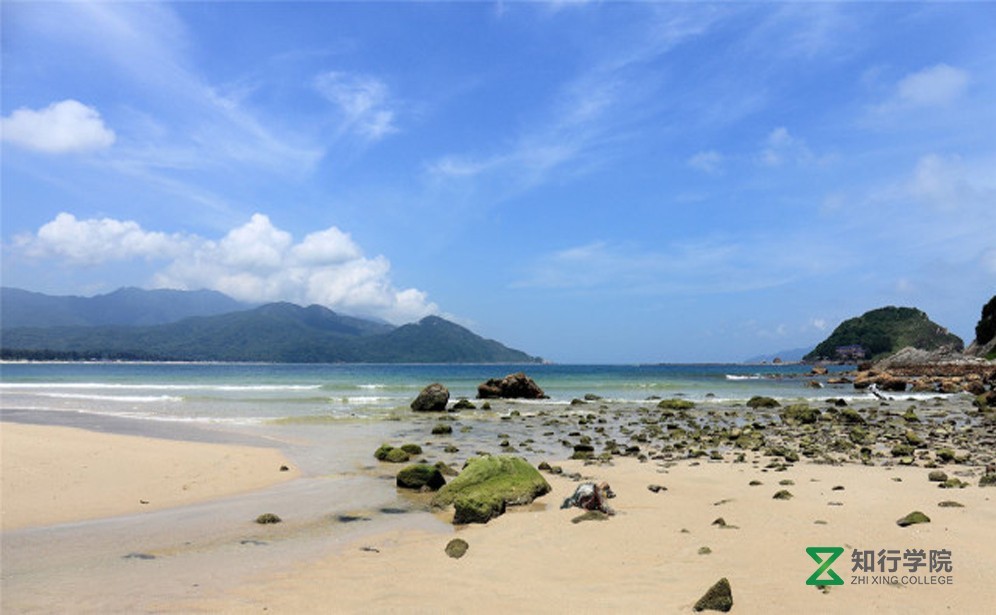 西涌沙滩拓展.jpg 西涌沙滩拓展.jpg
