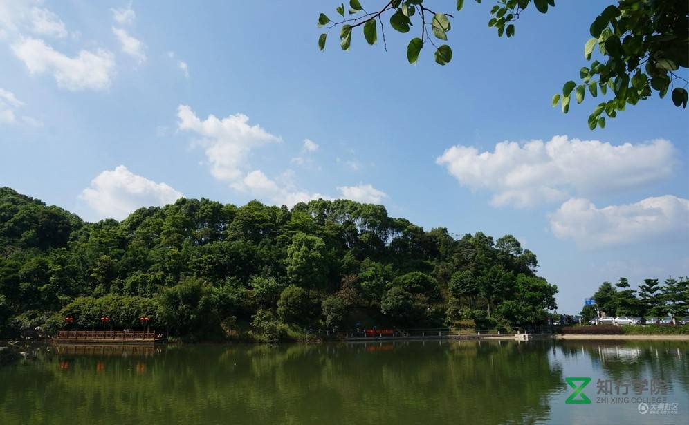广州帽峰山.jpg