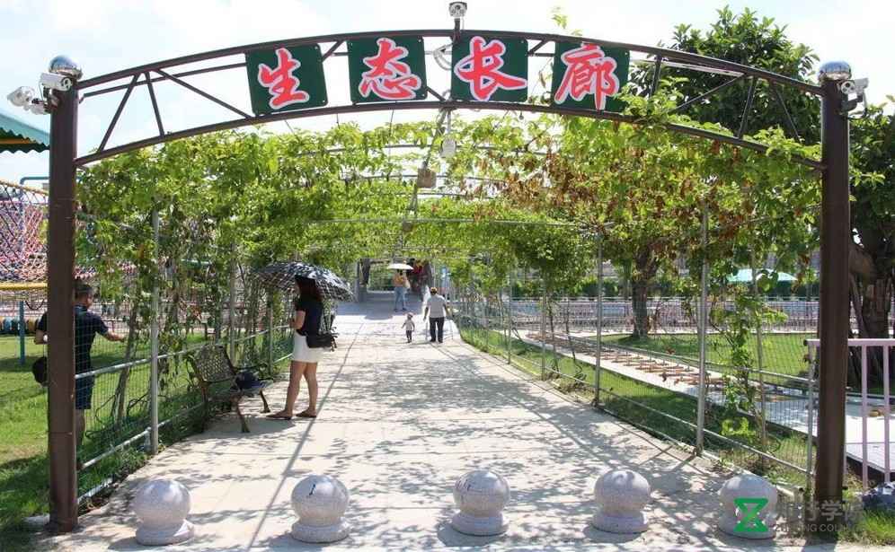 生态长廊.jpg 生态长廊.jpg