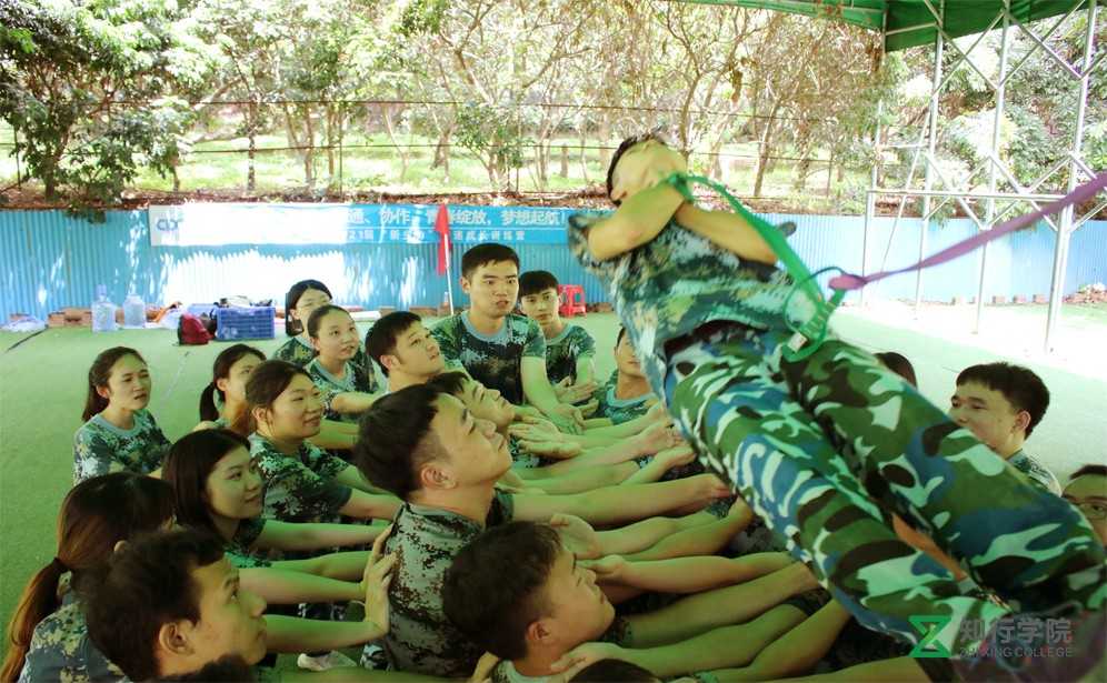 大学生入职培训、信任背摔.jpg