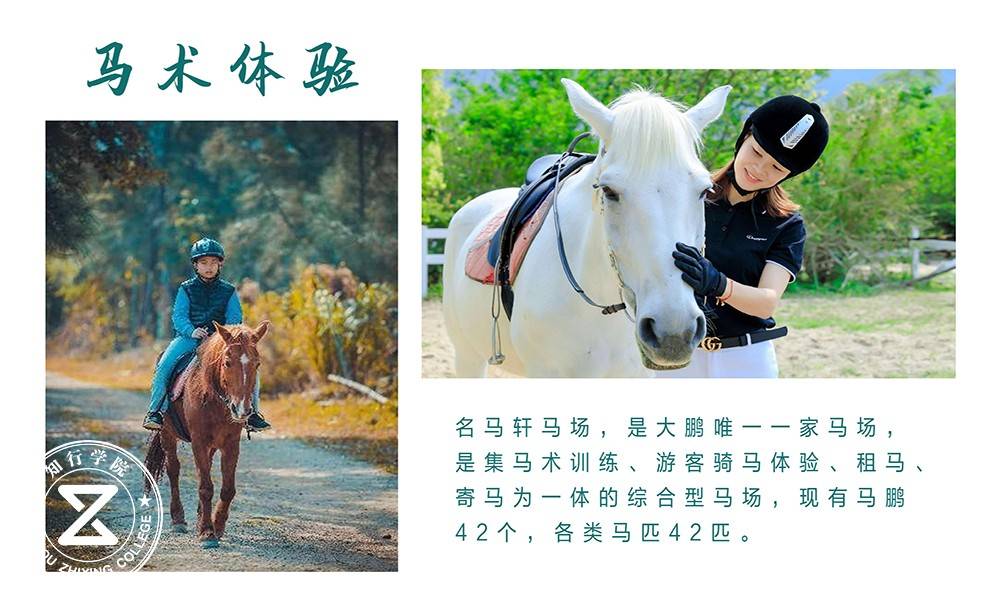 马术体验.jpg