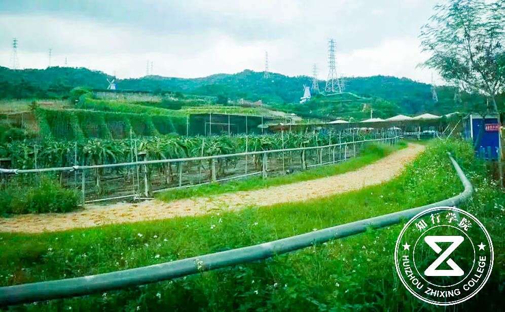 深圳凤凰谷.jpg