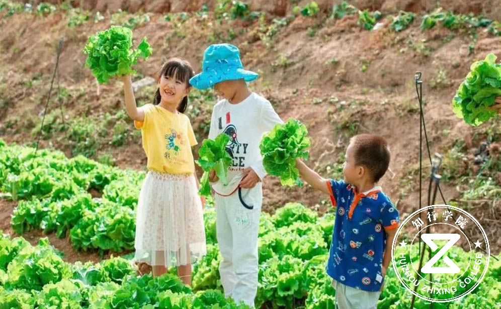 凤凰山农趣谷团建.jpg