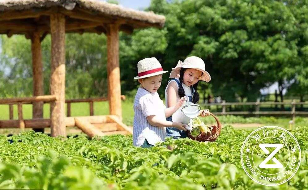 深圳凤凰山农趣谷团建拓展.jpg