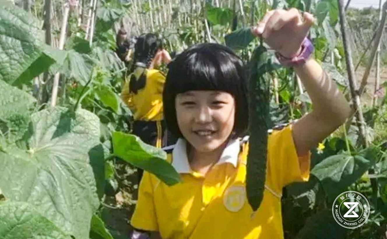 东莞虎门萤火虫拓展训练基地10.jpg