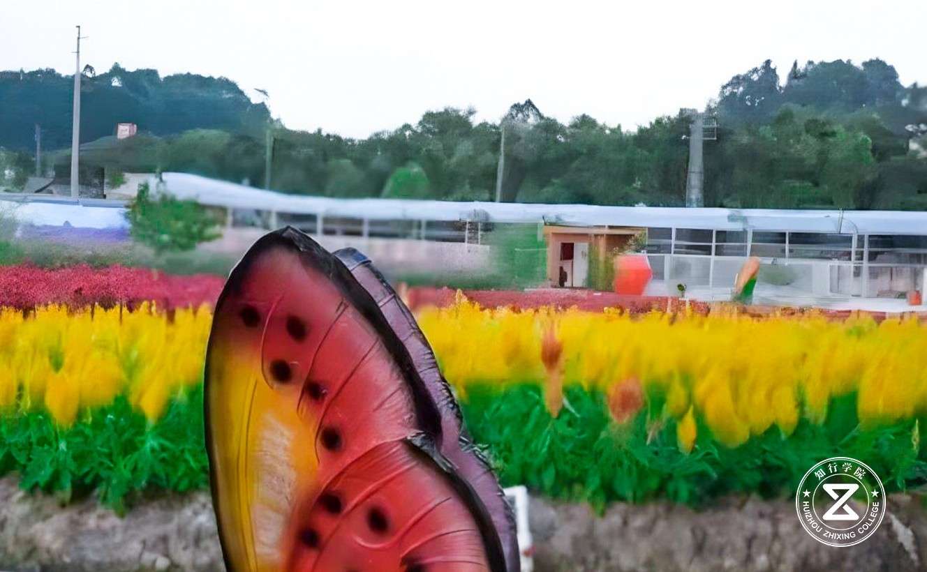 佛山市南海区国防教育训练基地7.jpg 佛山市南海区国防教育训练基地7.jpg