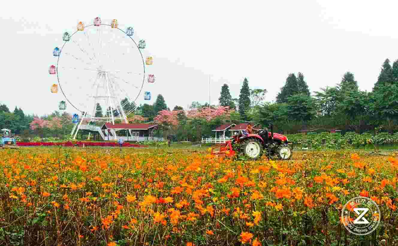 佛山梦里水乡百花园拓展训练基地2.jpg