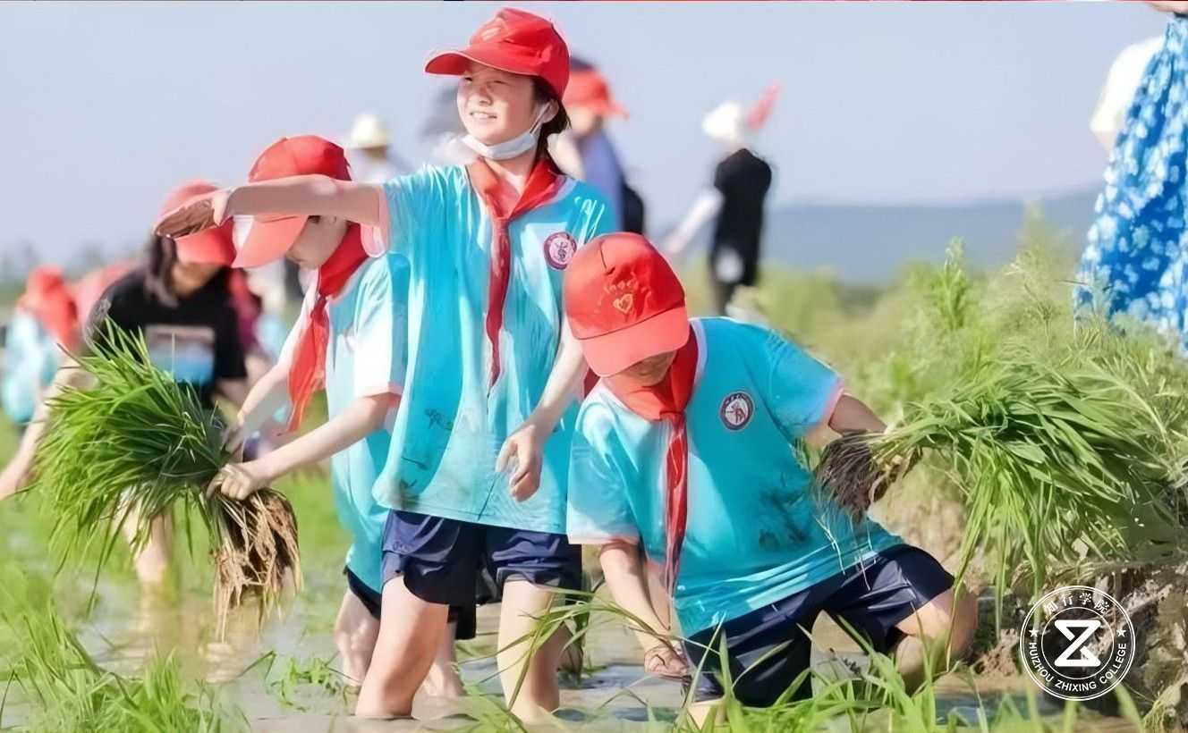 广州南沙马克生态园拓展训练基地22.jpg