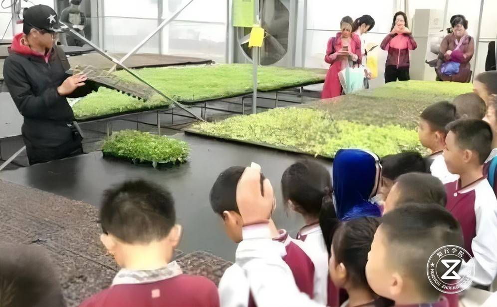 中山合力农场拓展训练基地6.jpg 中山合力农场拓展训练基地6.jpg