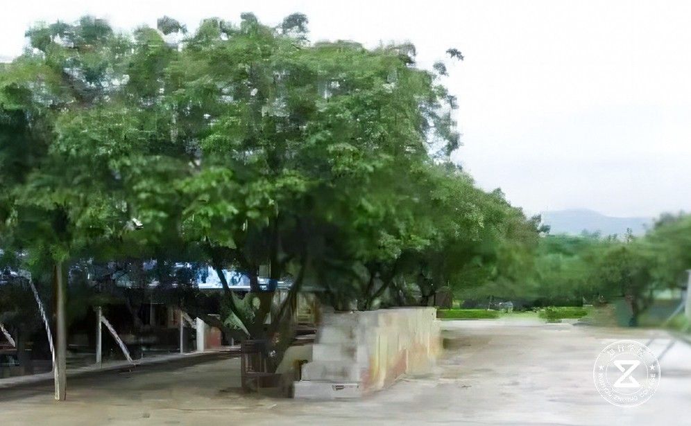 清远红旗湾拓展培训基地7.jpg