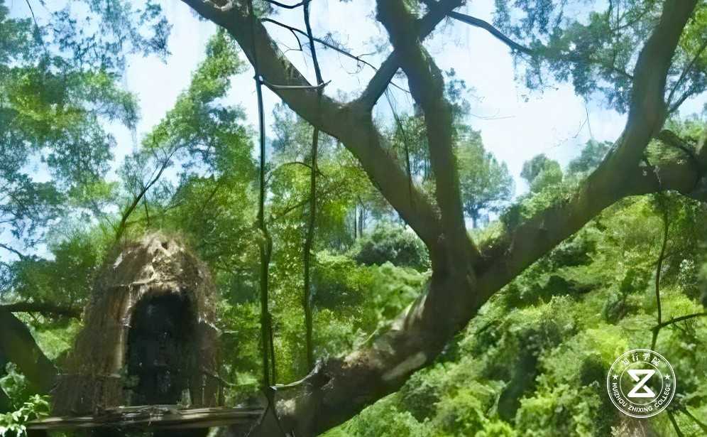 珠海亚马逊原始生态园基地7.jpg