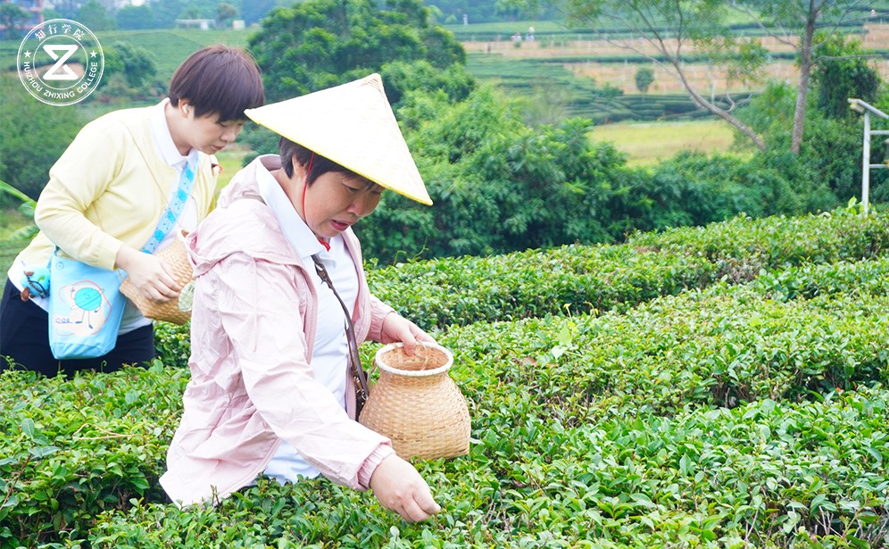 未标题-2.jpg 未标题-2.jpg